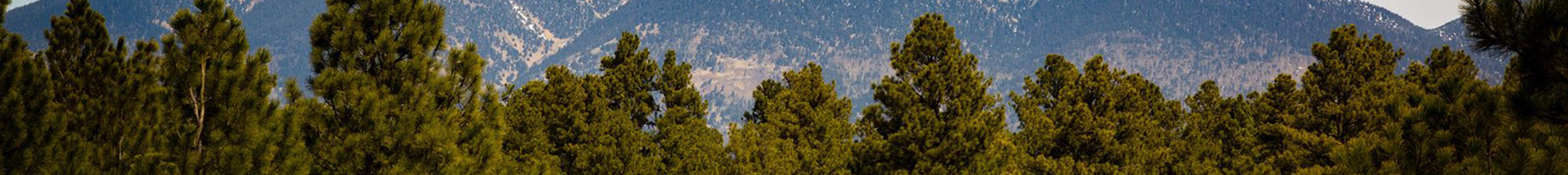 Northern Arizona Landscape Photograph by Larry Hendricks
