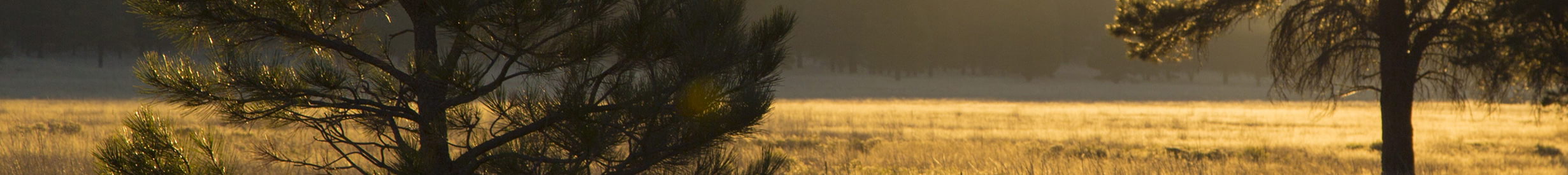 Northern Arizona Landscape Photograph by Larry Hendricks