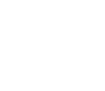 Primary Symbol Logo White