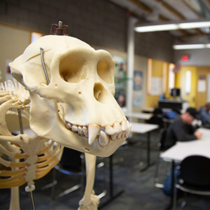 Arts and Humanities - Humanities Photo