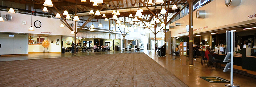 Lone Tree Commons photograph